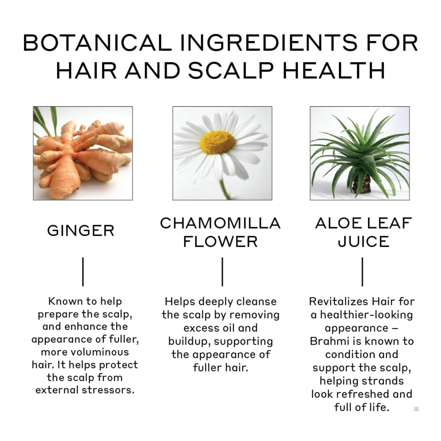 Revolve Thickening Conditioner