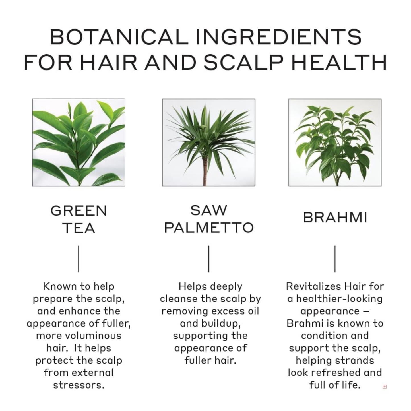 Revolve Thickening Shampoo for Men