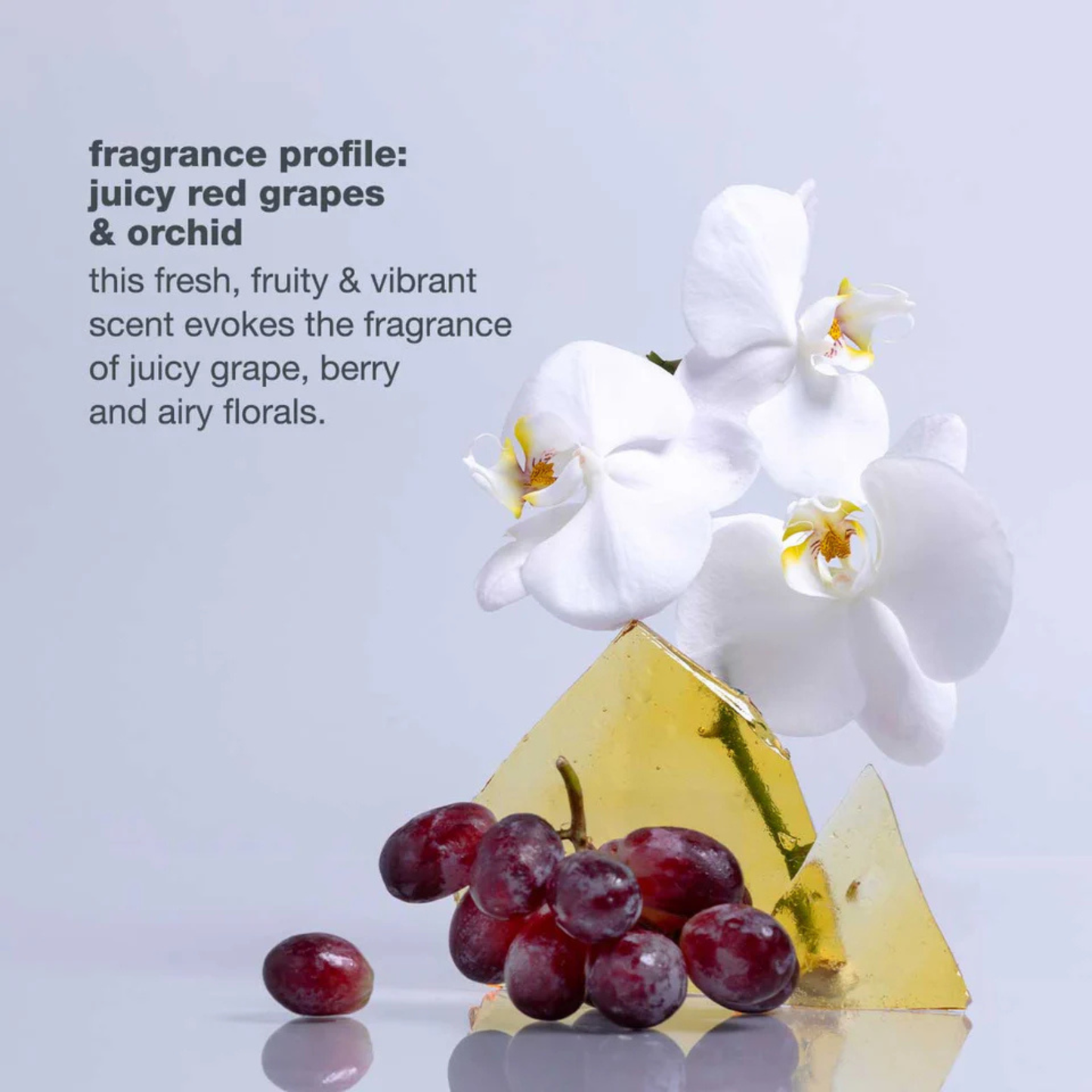 Icy blond conditioner