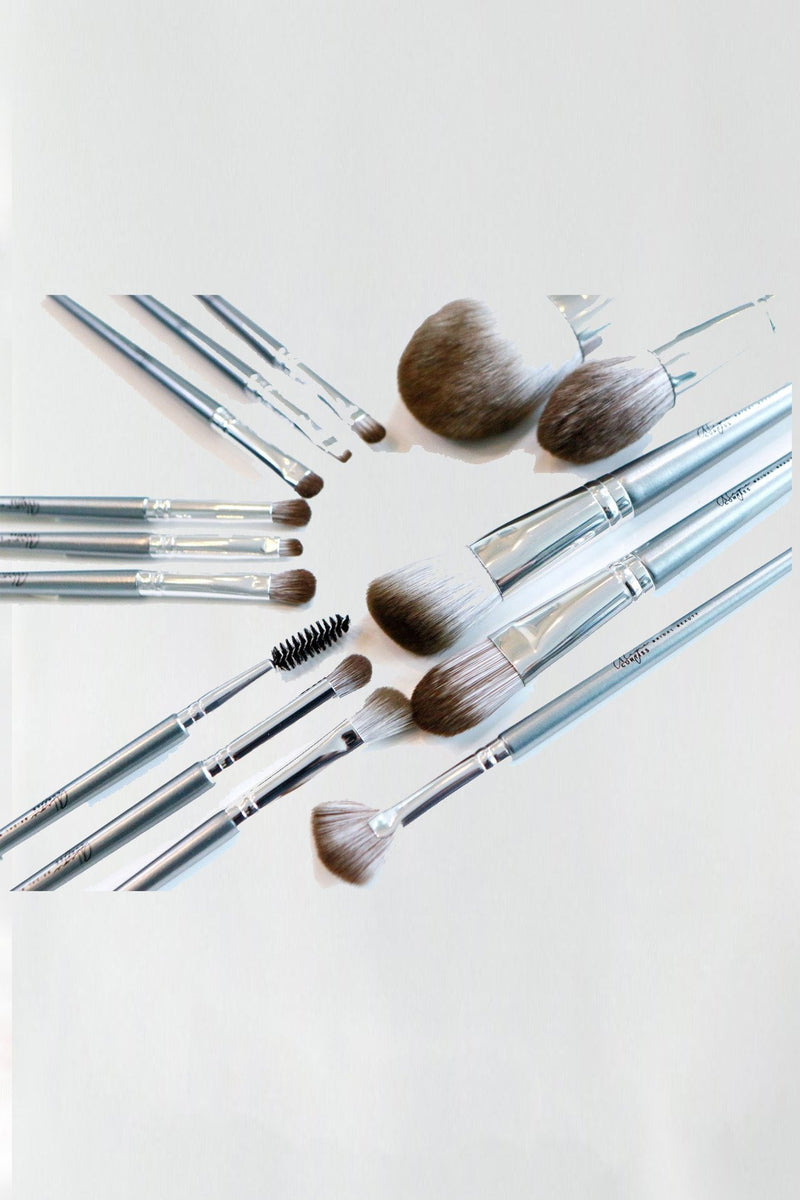 Alayne Curtiss Platinum Makeup Brush Set